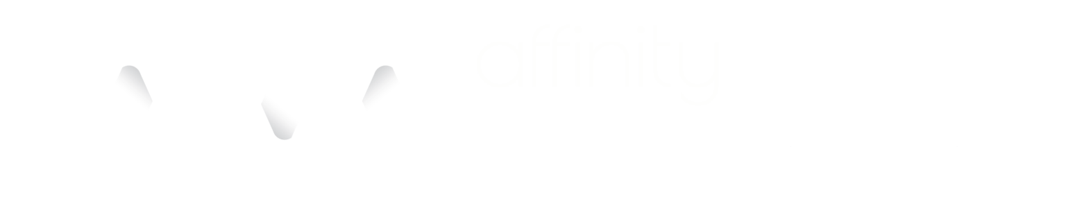 Affinity Partnerships | Affinity Workforce